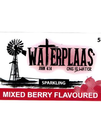Waterplaas – 500 ml Sparkling Flavoured Water – Mixed Berry